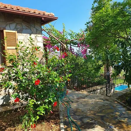 Kapri Tatil Evleri Holiday home